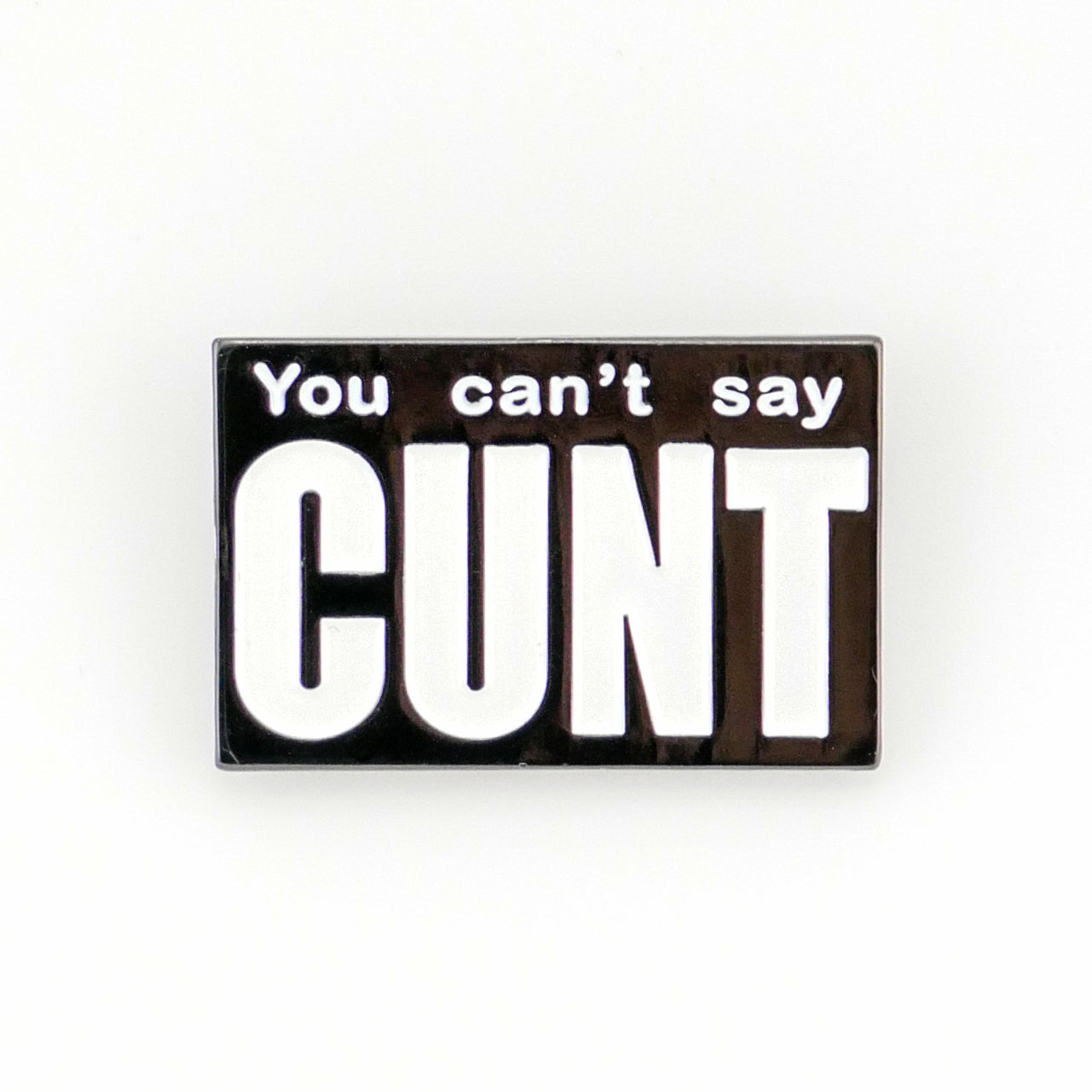 You Can’t Say Cunt